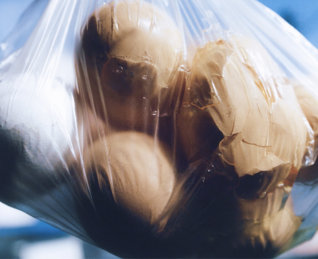 Everyday objects sealed in plastic
